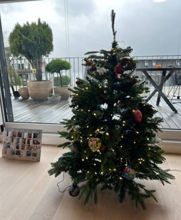 Toutes les décorations: Weihnachtsbaum aus Kunststoff – D'occasion à Meilen par JuliaFantasma 2