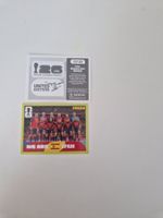 Panini Sticker ESP13