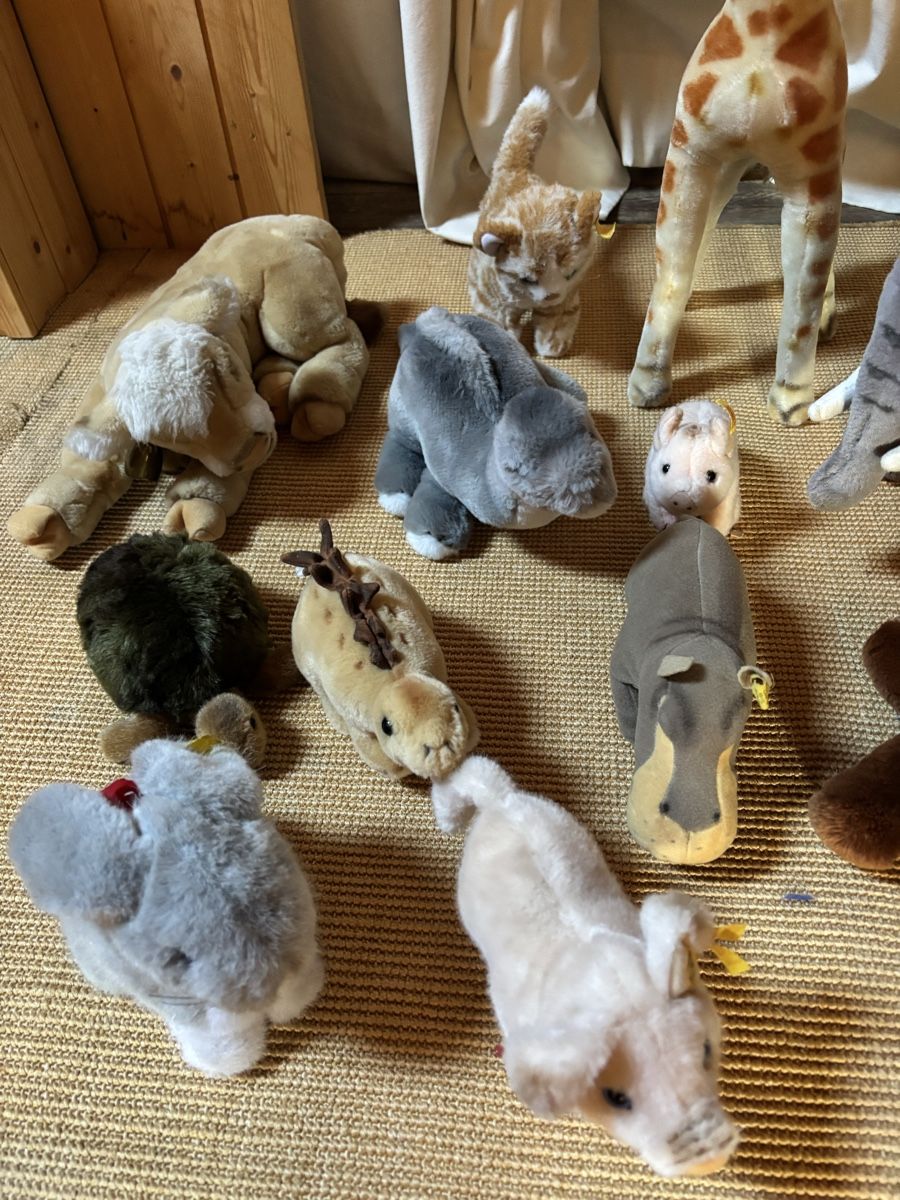 Steiff Giocattoli: Steiff & Co. Stofftiere - 13 Stück – Usato da Zürich venduto da Aapitz 2