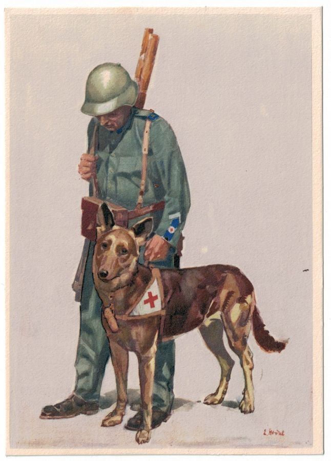 Cartoline postali: Bundesfeier 1937 – Usato da Frauenfeld venduto da POML