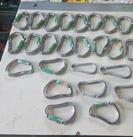 Kletter Karabiner Set alpin 31 Stk,gebrauchte!!!