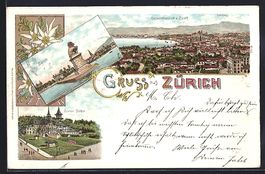 Litho Zürich, Löwendenkmal, Gesamtansi