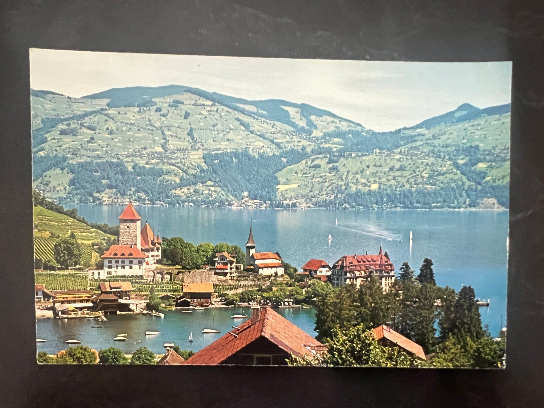 Cartoline postali: AK  1961 Spiez   (G3347) – Usato da Hinwil venduto da Sidi4