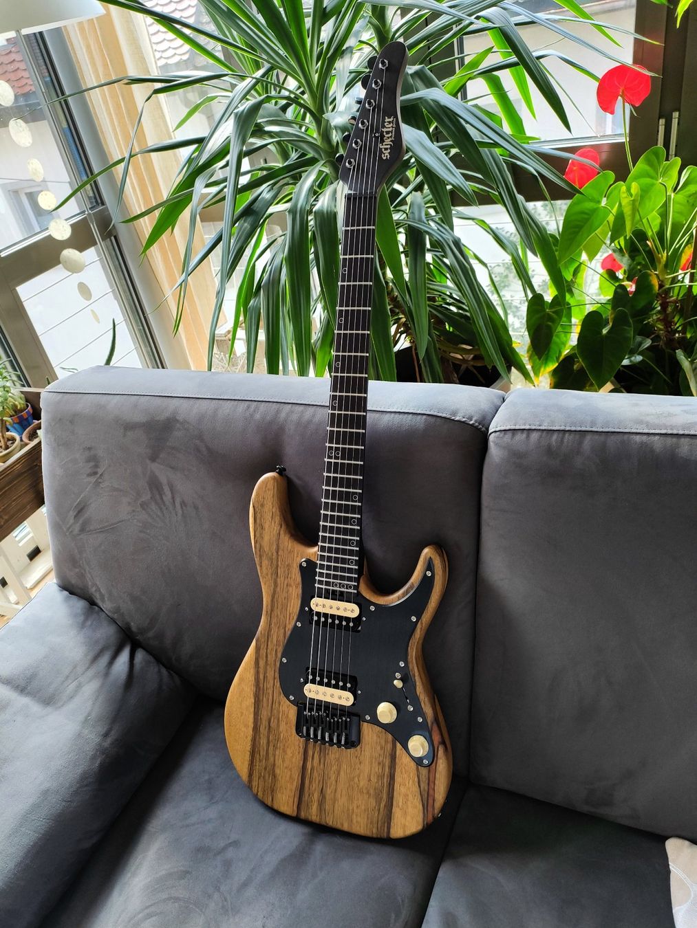 Schecter Strumenti musicali: Schecter - Sun Valley Super Shredder Exotic HT – Nuovo (secondo la descrizione) da Winterthur venduto da walderle