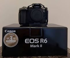 Canon EOS R6 II Hybrid Kamera mit smallrig cage.