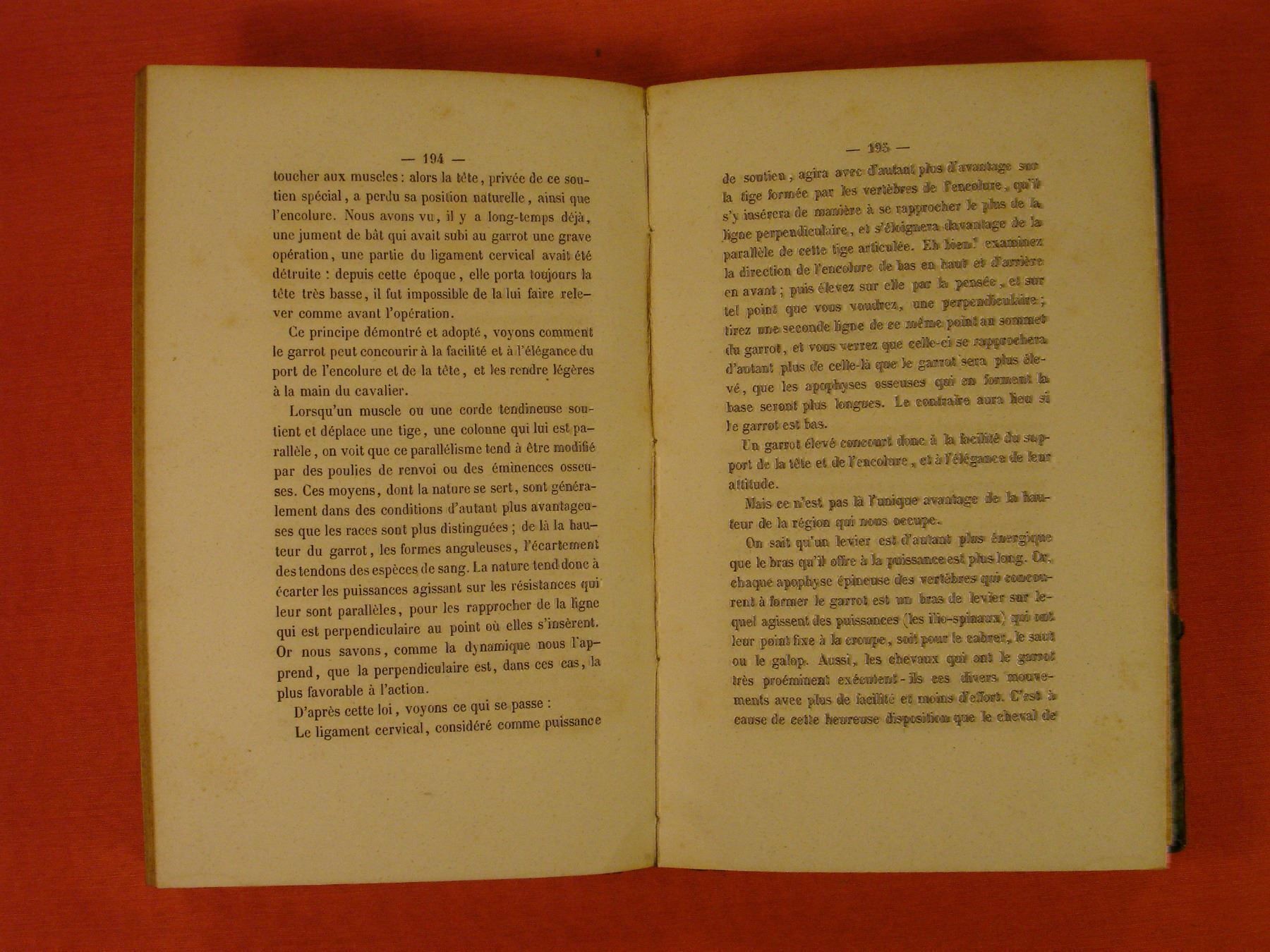Libri: DE LA CONFORMATION DU CHEVAL, um 1860, PFERD – Usato da Grüningen venduto da Kartensammler 2
