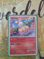 Camaub - Heartgold Soulsilver