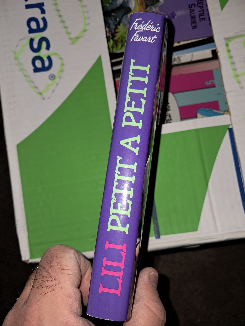 Libri: Livre Lili petit a petit – Usato da Le locle venduto da juliensaran 1