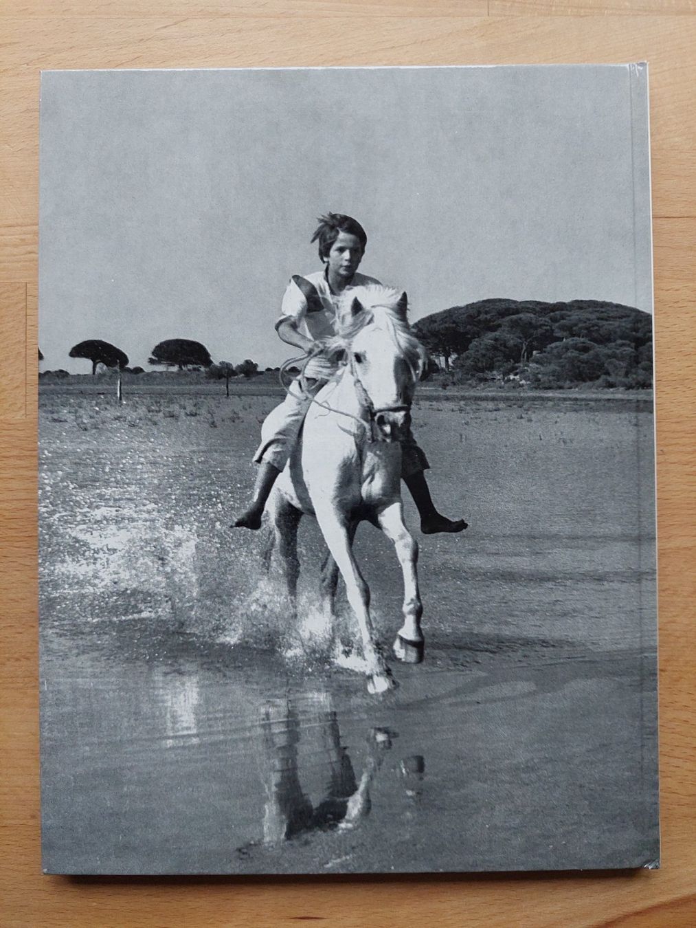 Livres: Der weisse Hengst - Albert Lamorisse – D'occasion à Obfelden par Foto_Bild_Kunst_Buch 9