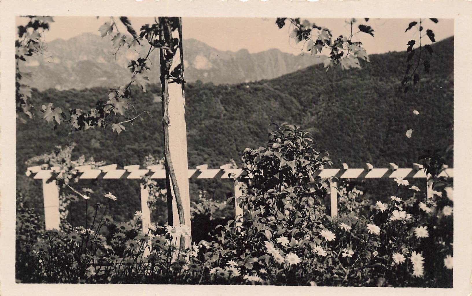 Cartoline postali: Sanatorium Agra TI – Usato da Biasca venduto da Blenio71