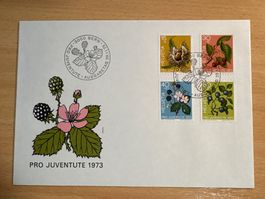 Pro Juventute Ersttagsbrief 1973