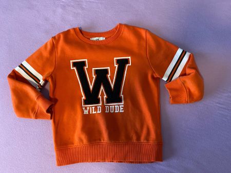 Sweatshirt, Gr.122