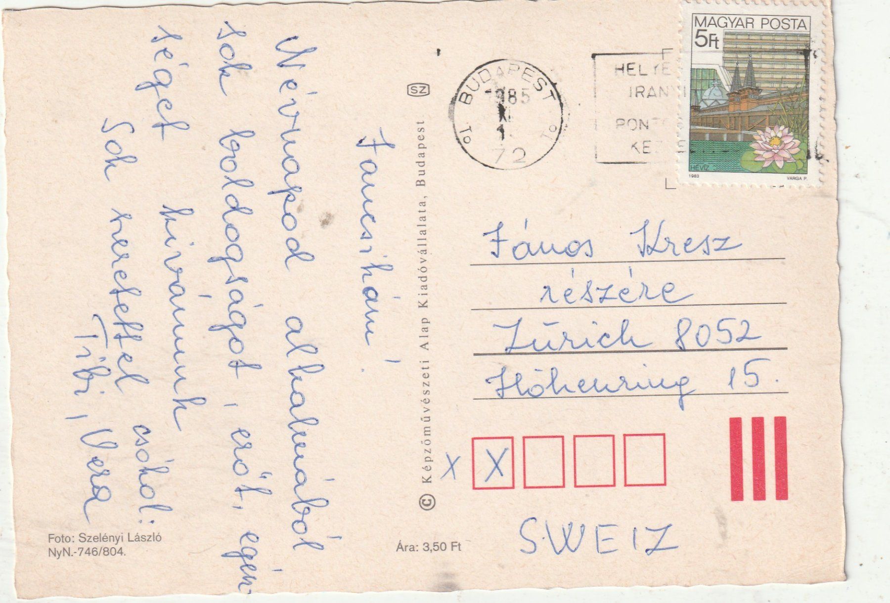 Cartoline postali: Blumenkarte – Usato da Lumbrein venduto da made02 1