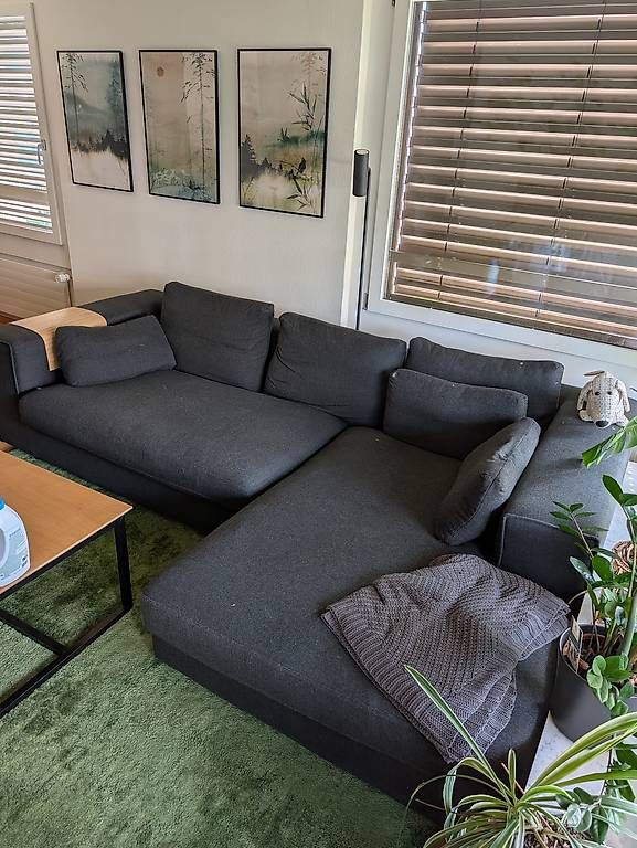 Sofas: Pfister Sofa sehr bequem – Gebraucht aus Zürich von lookino 1