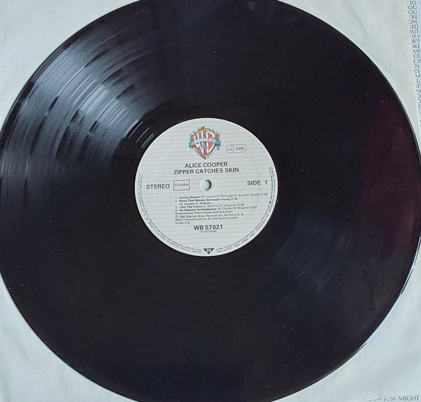 Dischi in vinile: Vinyl LP  - Alice Cooper  - Scandinavia  82 - NM – Nuovo (secondo la descrizione) da Villeret venduto da Fil11 2