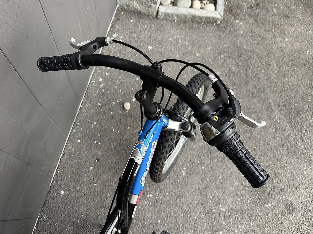 Velos: Bicicletta da bambino 20 fully Cobra  – Gebraucht aus Quartino von DiloUsato 6