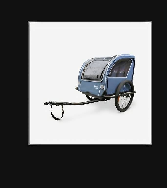 Rimorchi: Remorque vélo pour enfant  – Usato da Collombey venduto da pat_q9nc