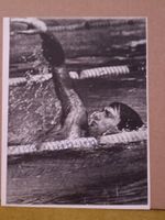 Roland Matthes - Schwimmen - 4x Olympiasieger