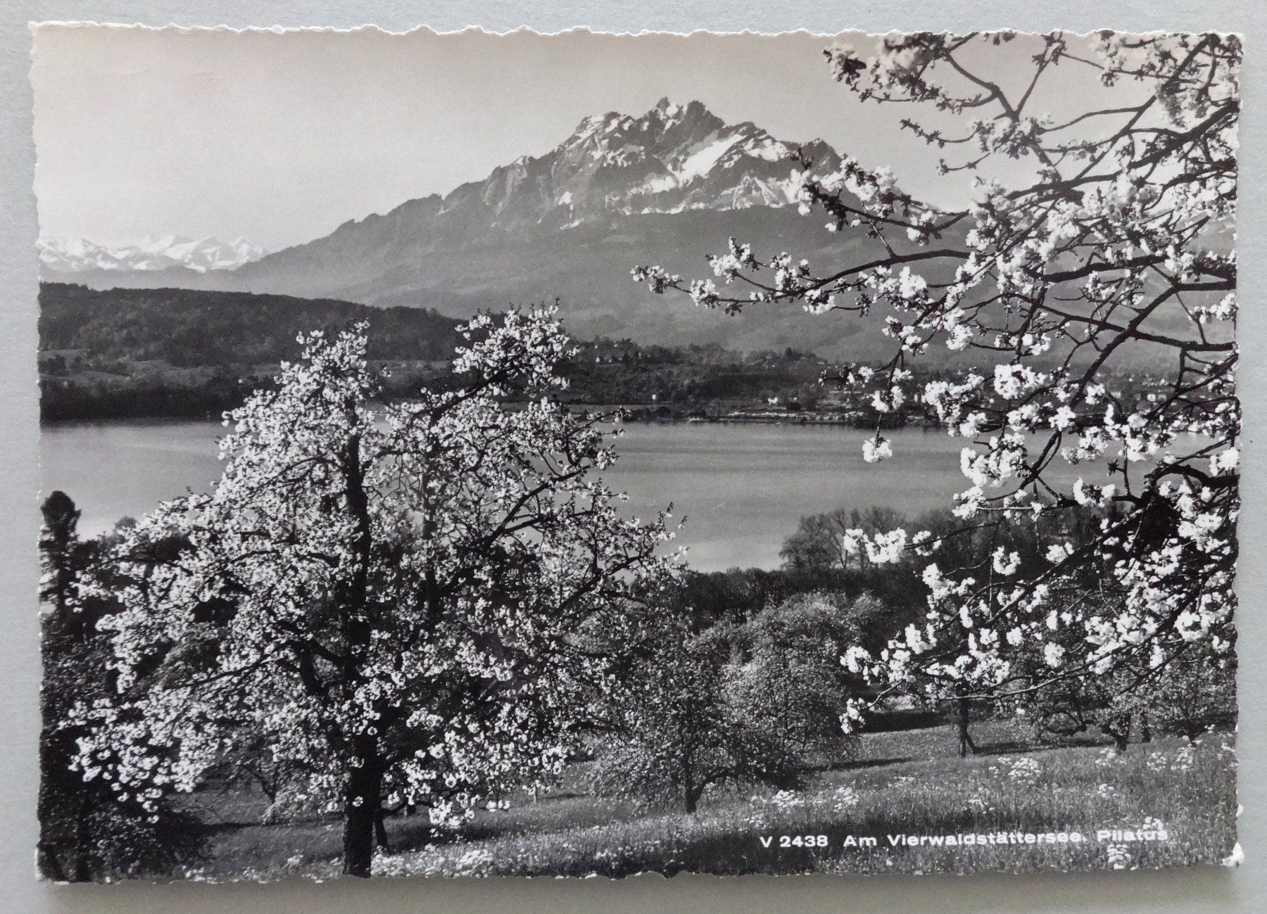Cartoline postali: Am Vierwaldstättersee, Pilatus – Difettoso da Fétigny venduto da Billy2miny