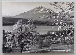 Am Vierwaldstättersee, Pilatus
