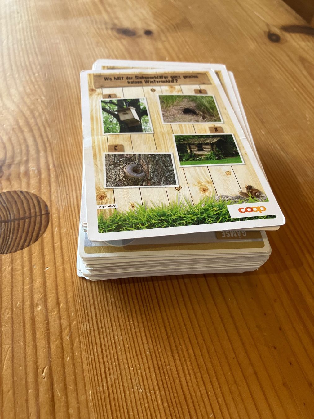 Cartoline: Coop Sammelkarten Abenteuer Garten – Usato da Madiswil venduto da Christanne 3