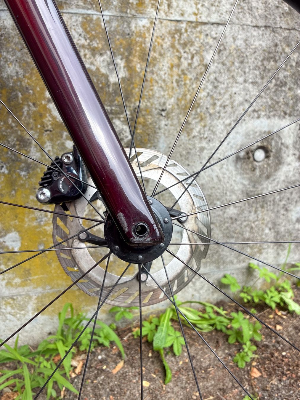 Specialized Biciclette: SL 7 Pro, Ultegra – Usato da Münsingen venduto da bur_pf7j 5