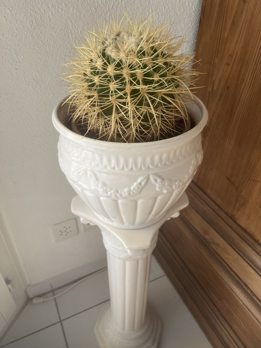 Pots de fleurs: Säule mit Topf – D'occasion à Kriens par Renggi70 1