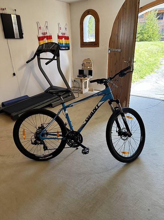 Biciclette: Fahrrad Giant – Usato da Danis venduto da Bill19 1