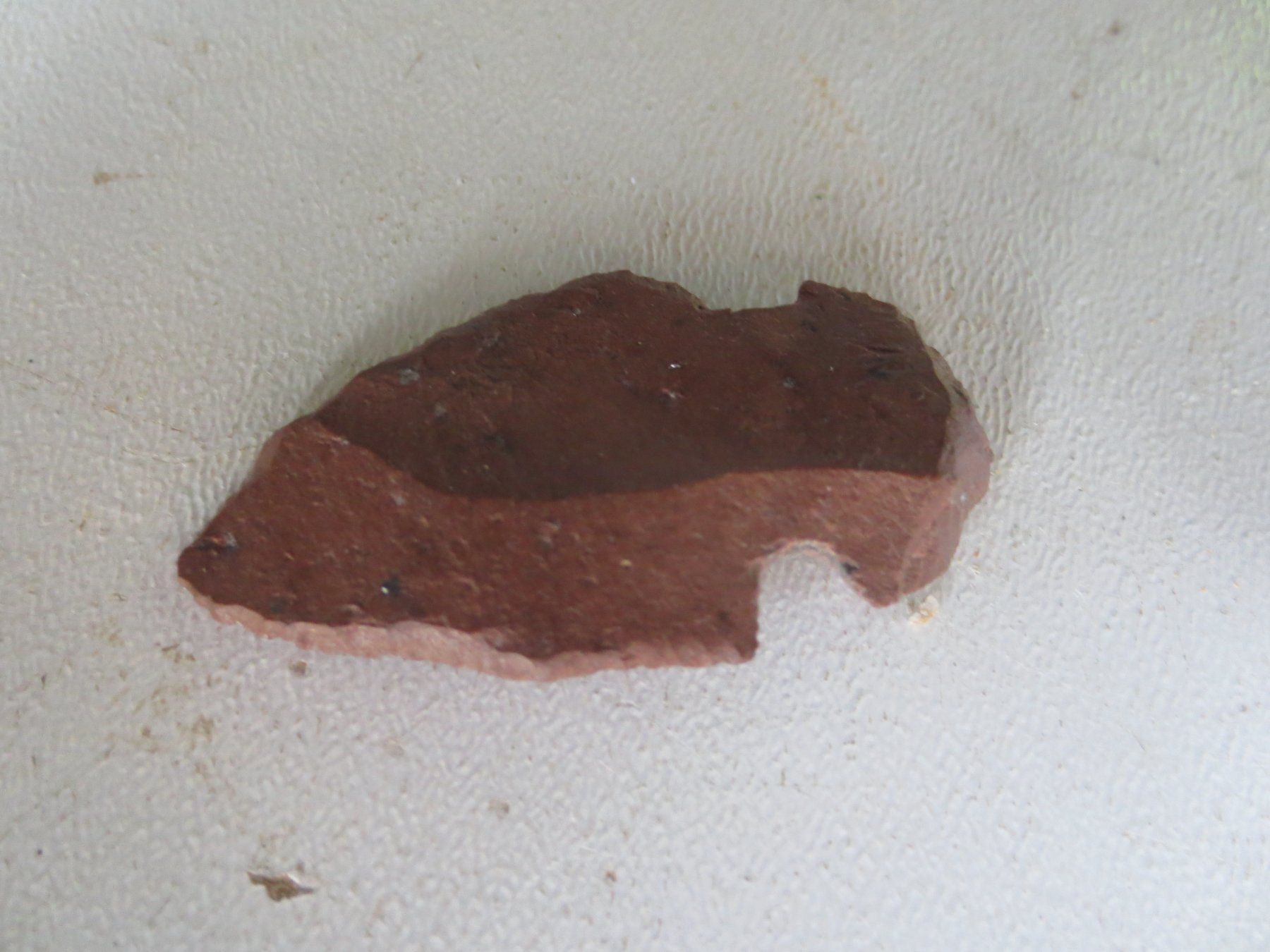 Fossilien: Pfeilspitzen – Gebraucht aus Weier im Emmental von waefler03