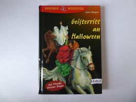 Ponyhof Wiesental - Geisterritt an Hallo, Kerle im Verlag He