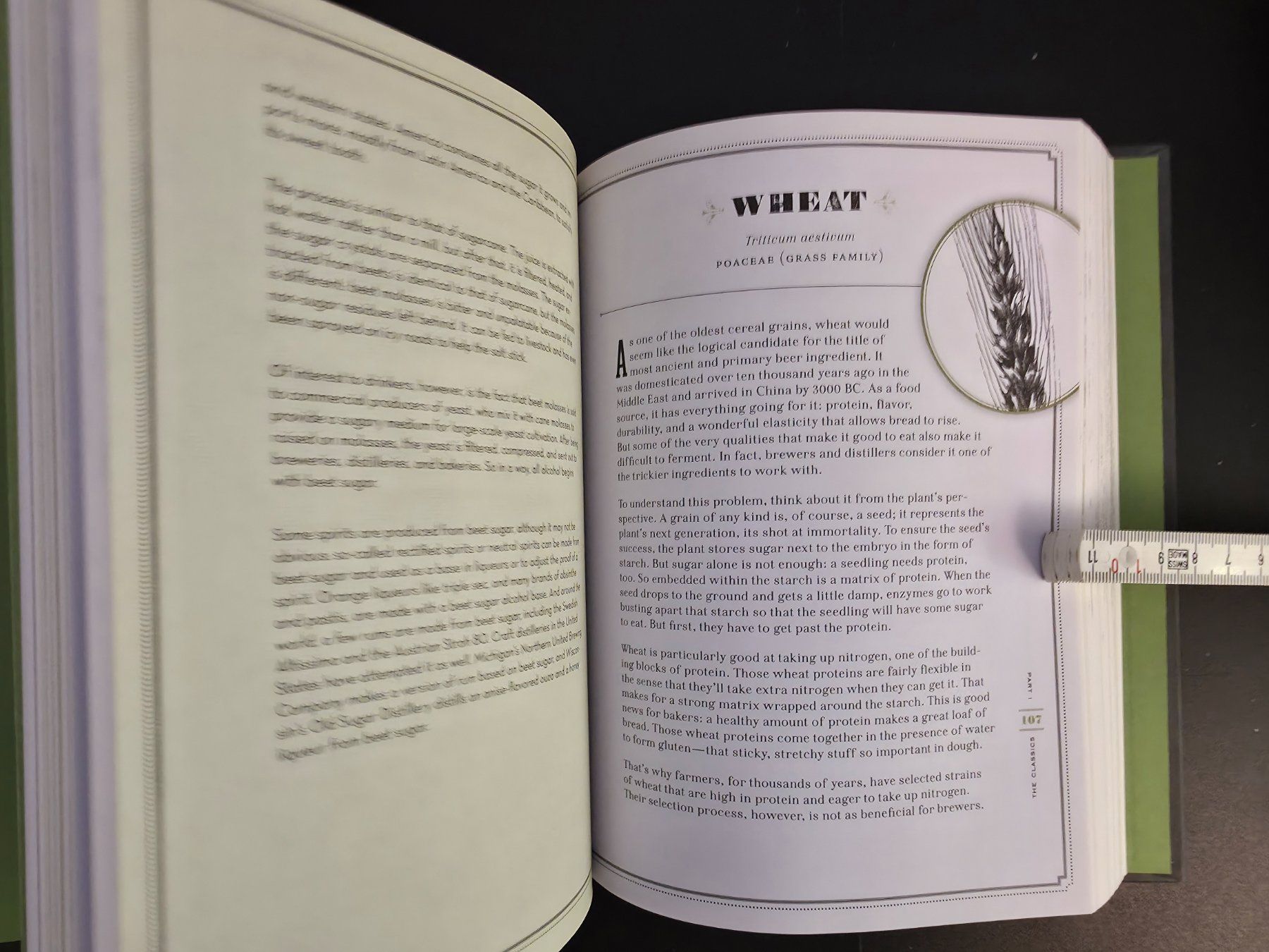 Libri: The Drunken Botanist The Plants That Create the World's Grea – Nuovo (secondo la descrizione) da Montreux venduto da Edelweissgirl_64 4