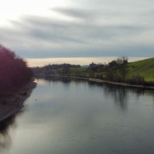 Profile image of FaTraub