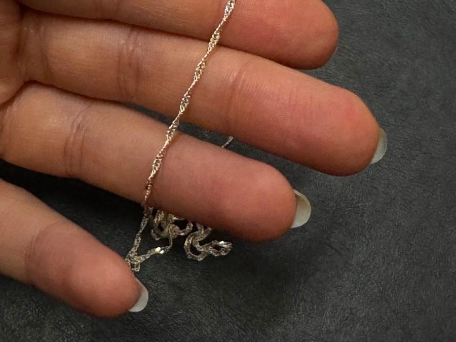 Ketten: Halskette aus 925er Silber – Neu (gemäss Beschreibung) aus Biasca von angelopiletti 2