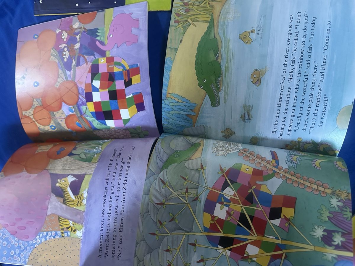 Libri: David McKee Elmer 10 bücher auf englisch – Nuovo (secondo la descrizione) da Uster venduto da bek_v2ct 5