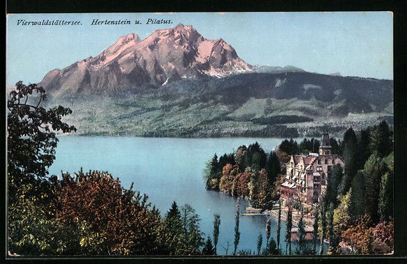Cartoline postali: Hertenstein /Vierwaldstättersee, Herten – Usato da Berlin venduto da bartko-reher