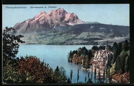 Hertenstein /Vierwaldstättersee, Herten