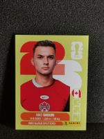 Panini Wm 2026 Sticker :Niko Sigur Can 16