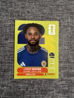 Panini WM 2026 - CUW 12