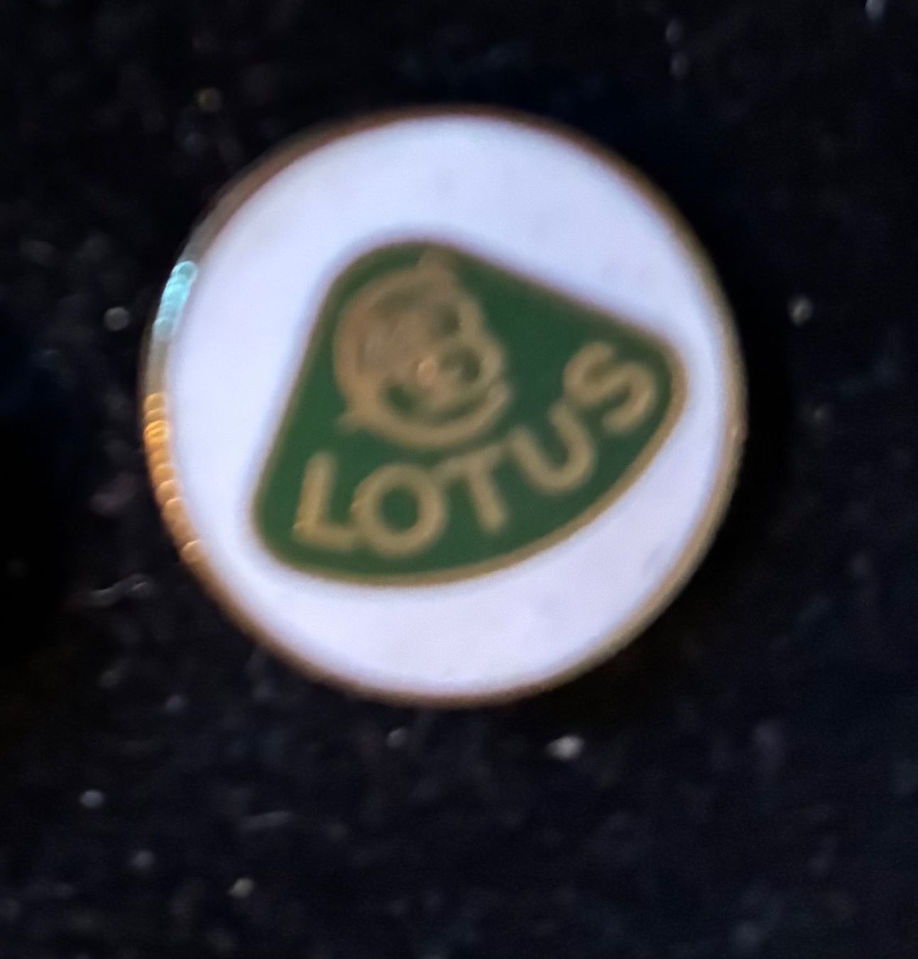 Lotus Placchette & Badge: Pin Lotus – Usato da Paudex venduto da micinque