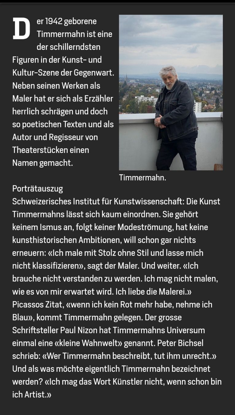 Dipinti: Timmermahn "flying mother over Amsterdam" Oelgemälde – Nuovo (secondo la descrizione) da Ostermundigen venduto da louisetcoco13 3