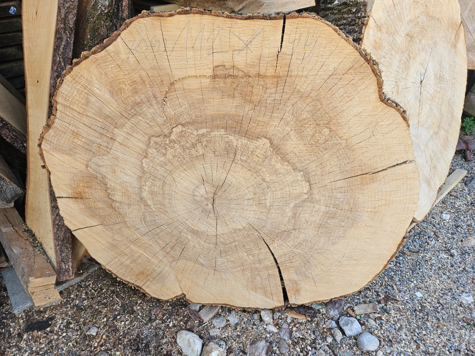 Articles en bois: Eschen Holz Baumscheibe – Neuf (Voir description) à Schangnau par egli6.2
