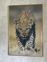 Leoparden Bild 90/63 cm