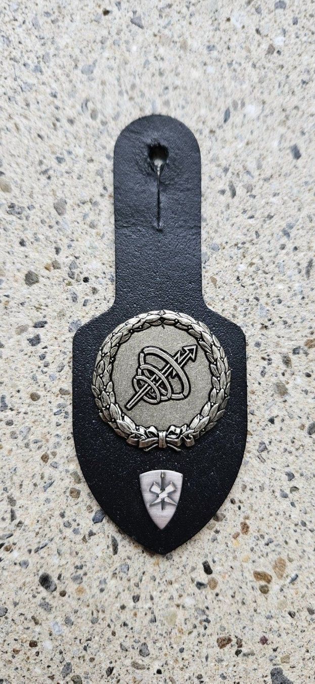 Schweizer Armee Placchette & Badge: *** Brustanhänger mit Spez. Abzeichen *** – Usato da Riedholz venduto da fr_sIruP