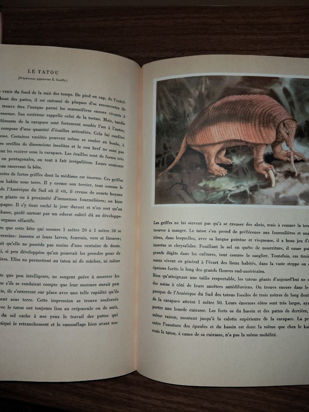 Bücher: Livre Animaux de tous pays – Gebraucht aus Le locle von juliensaran 2