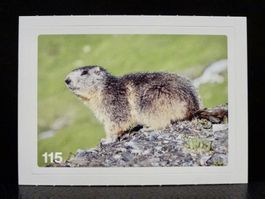 MIGROS MANIA Nature Detectives Nr. 115