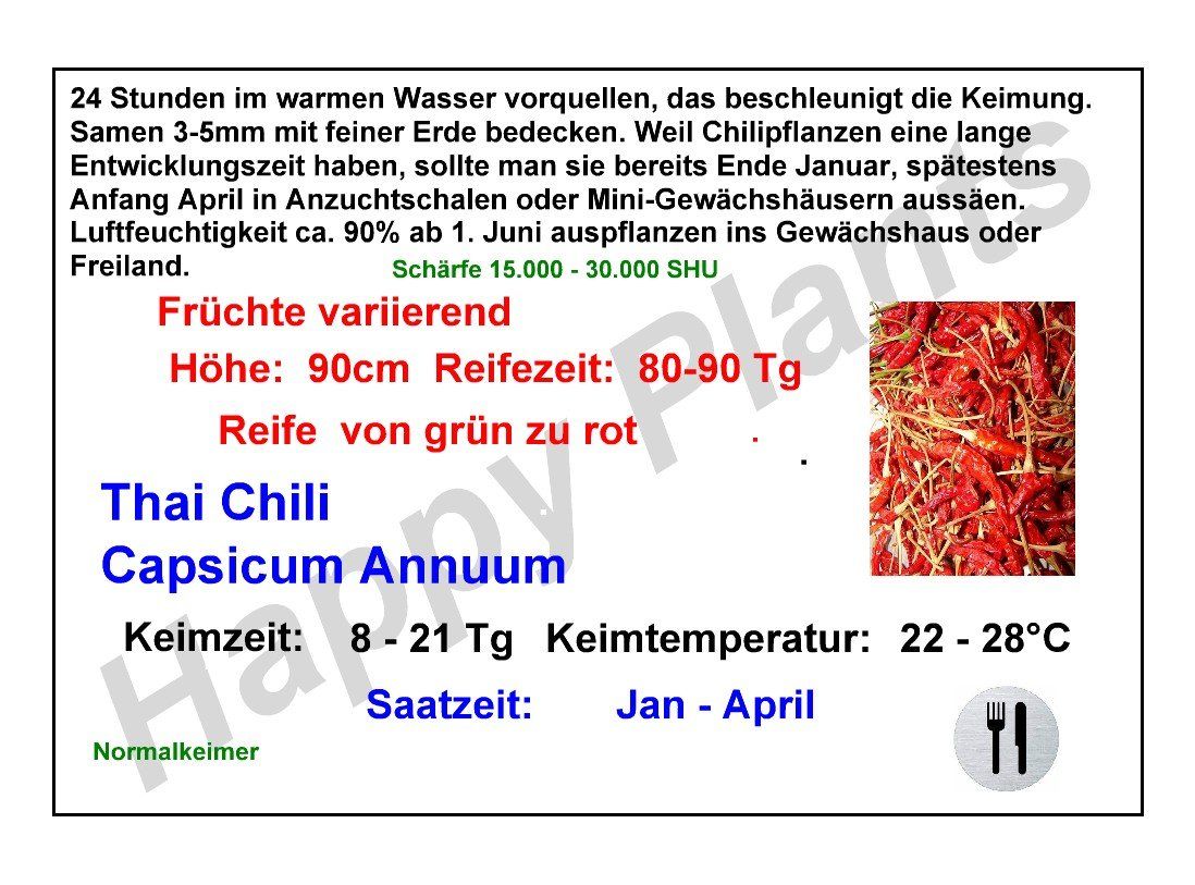 Piante & sementi: Thai Chili scharf - Capsicum annuum - 40 Samen – Nuovo e nell'imballaggio originale da Sumiswald venduto da Cham14559 1