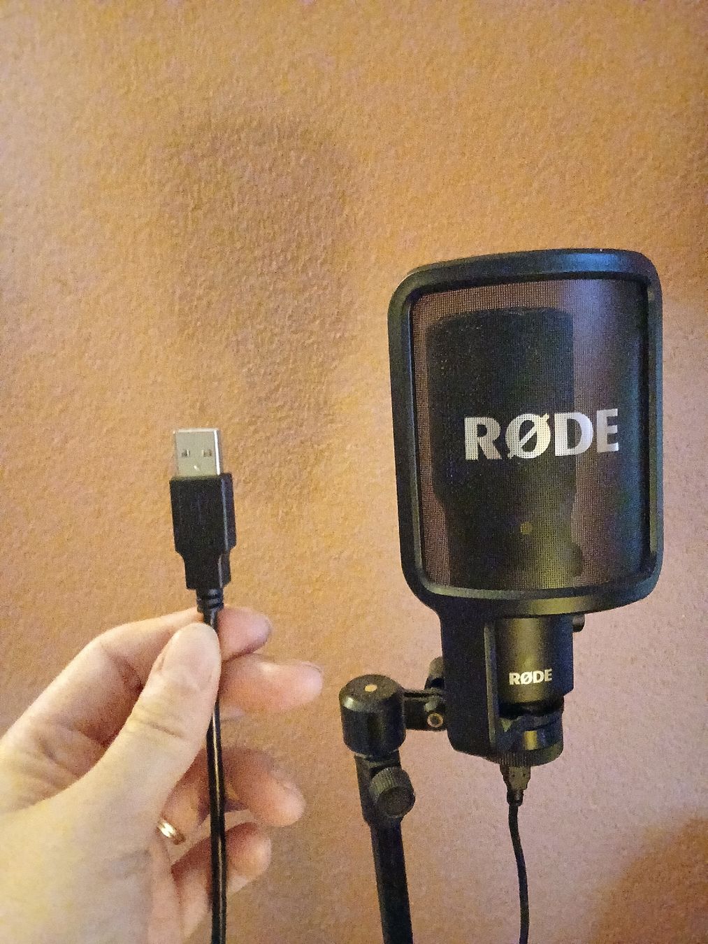 Røde Microfoni: Rode NT USB Mikrofon inkl. Ständer – Usato da Winterthur venduto da mara8400 3