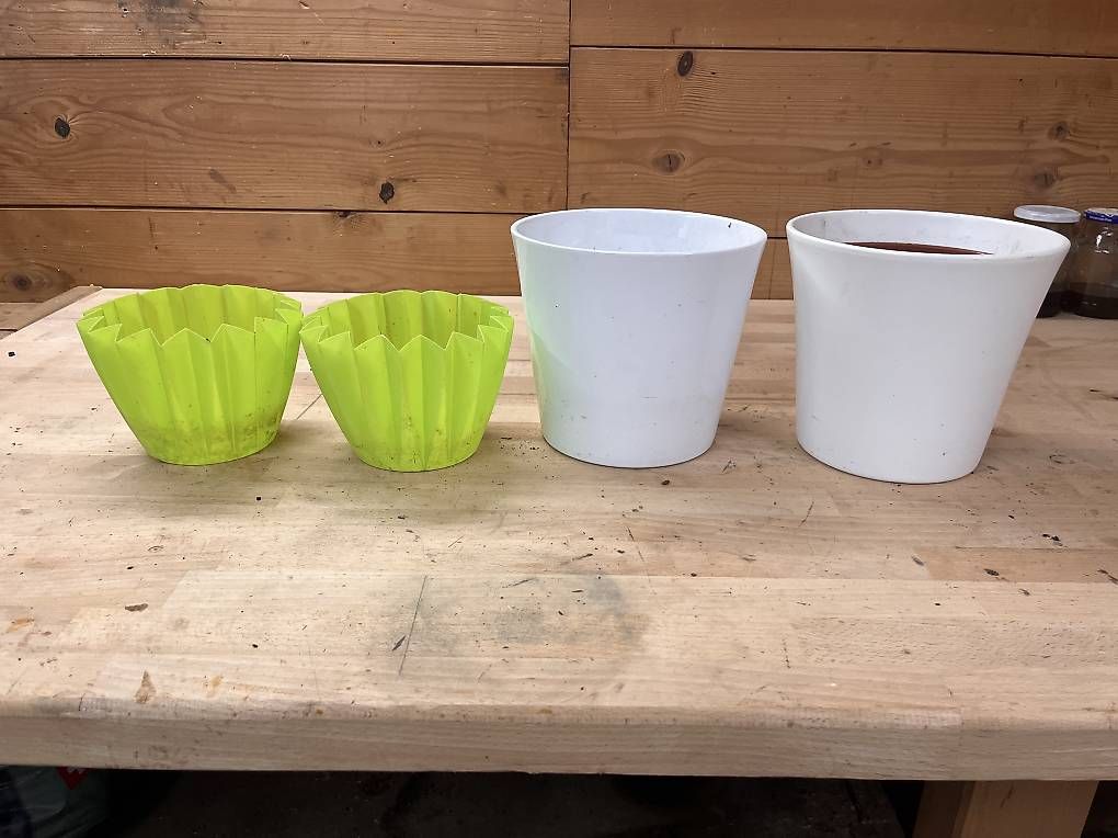 Vasi per fiori: Diverse Blumentöpfe  – Usato da Güttingen venduto da sab_vg9p 3