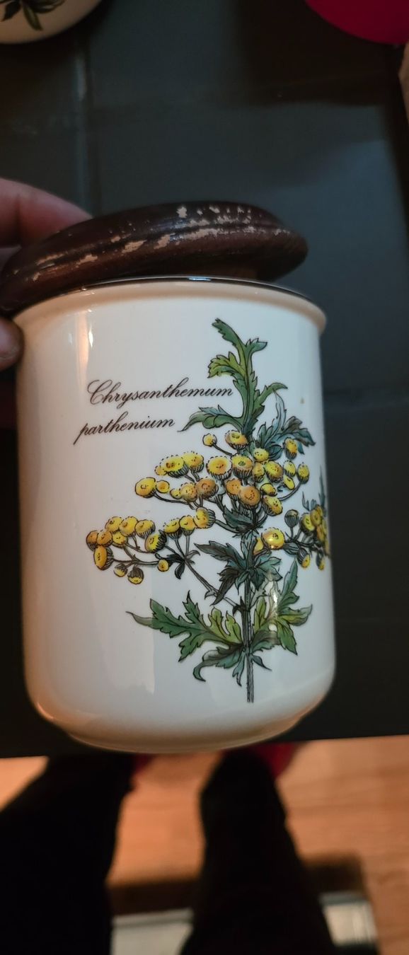 Villeroy & Boch Zuccheriere: Villeroy&Boch Botanica Dose mit Deckel – Usato da Illighausen venduto da Sam_Schmidt