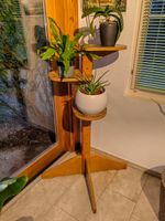 Pflanzen Ständer mit 3 verstellbare Ebenen & gratis Pflanzen